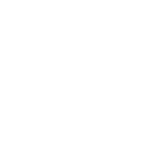 wordpress logo