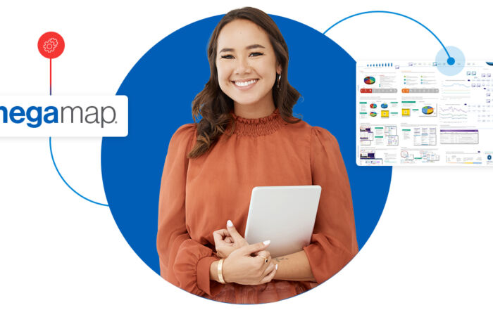 MegaMap-Customer-Experience-Process-Map